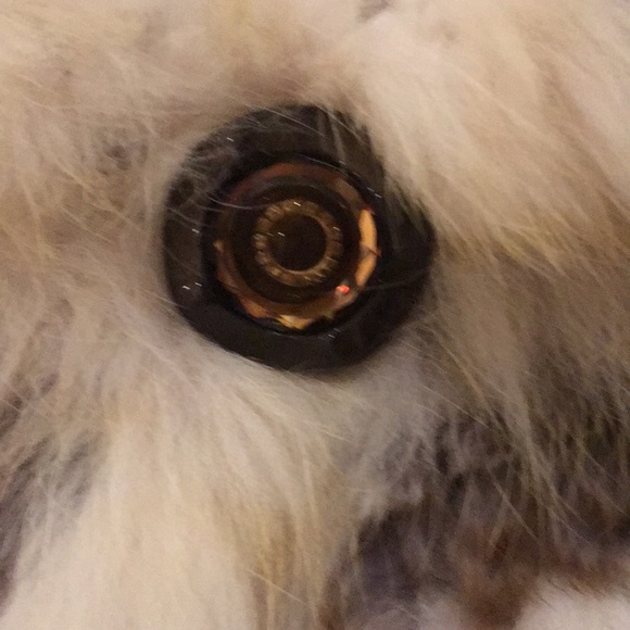 Alberto Makali WINTER SALE Fox &Rabbit Jacket  M. NWT - Picture 4 of 8